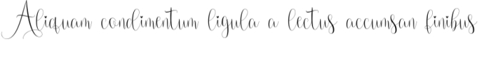 Beautiful Smooth Font Preview