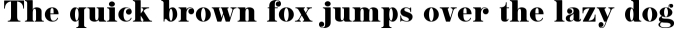 Mighty Aphrodite A Classy & Modern Serif Font Preview