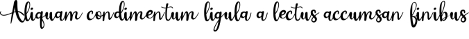 Summerlove Font Preview