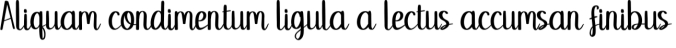 Sweet Bee Font Preview