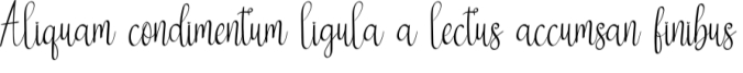 Hallimaun Signature Font Preview