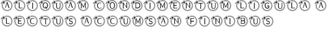 Monogram Classy Font Preview