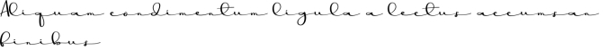 Minimalist Signature Font Preview