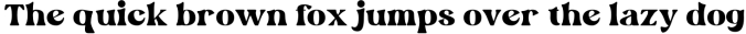 Wild Month-Serif Font Preview