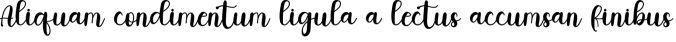 Wedding Font Preview
