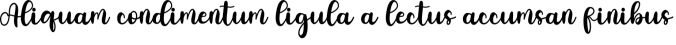 Will Love Font Preview