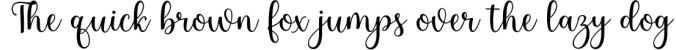 Donitea Scipt Font Preview