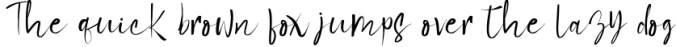 Hand Writing Bundles Font Preview