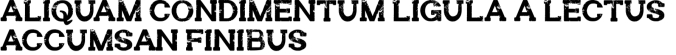 Worker Font Preview