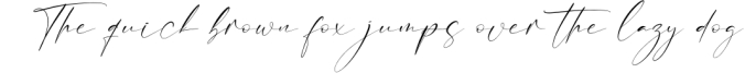 Anthoni Signature Font Preview