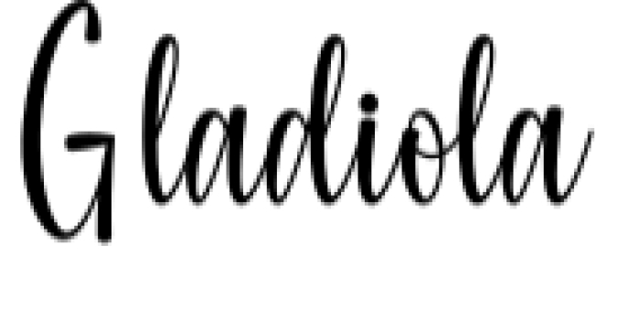 Gladiola Font Preview