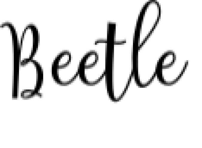 Beetle and Rantes Font Preview