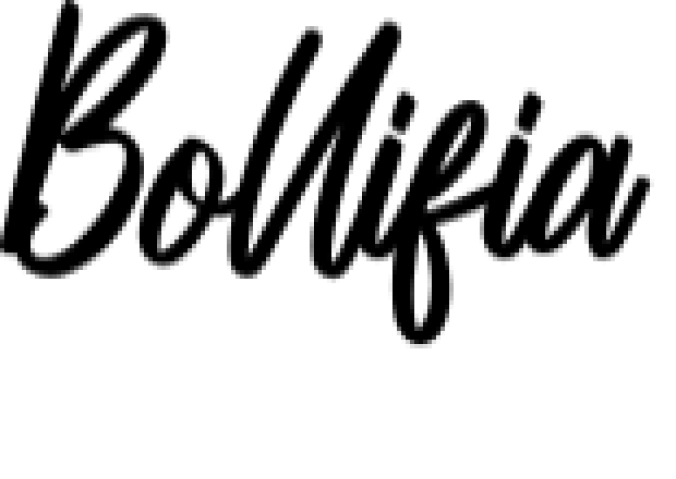 Bollifia Script Font Preview