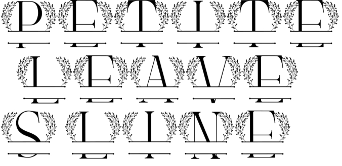 Petite Leaves Line Font Preview