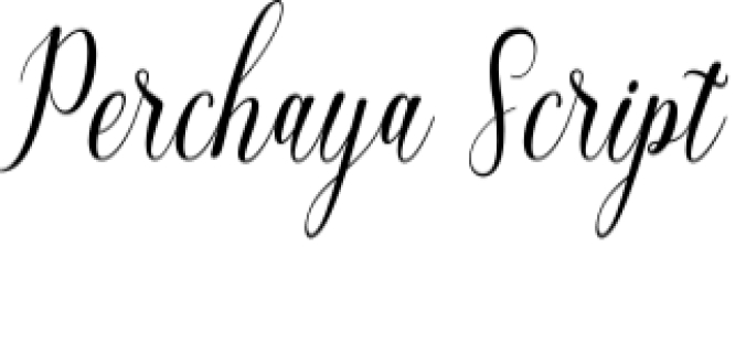 Perchaya Script Font Preview