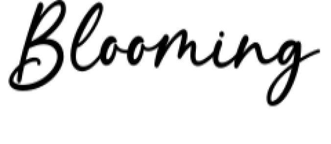 Blomming Font Preview