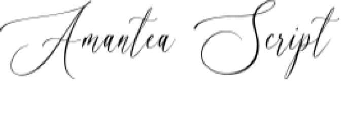 Amantea Script Font Preview