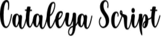 Cataleya Script Font Preview