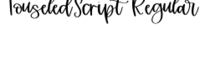 Touseled Script Font Preview