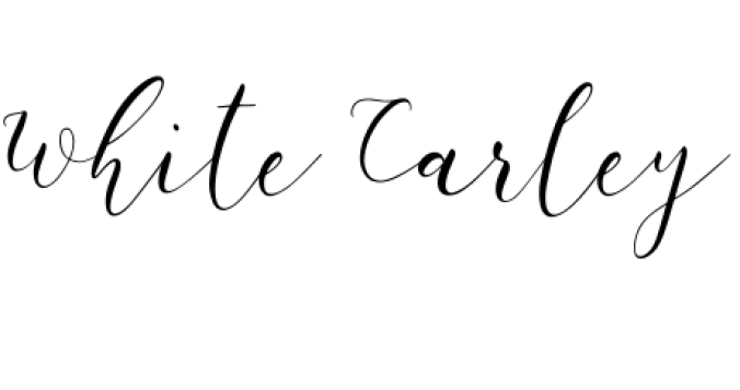 White Carley Font Preview