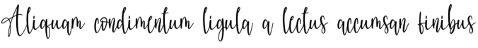 Rosallinda Font Preview