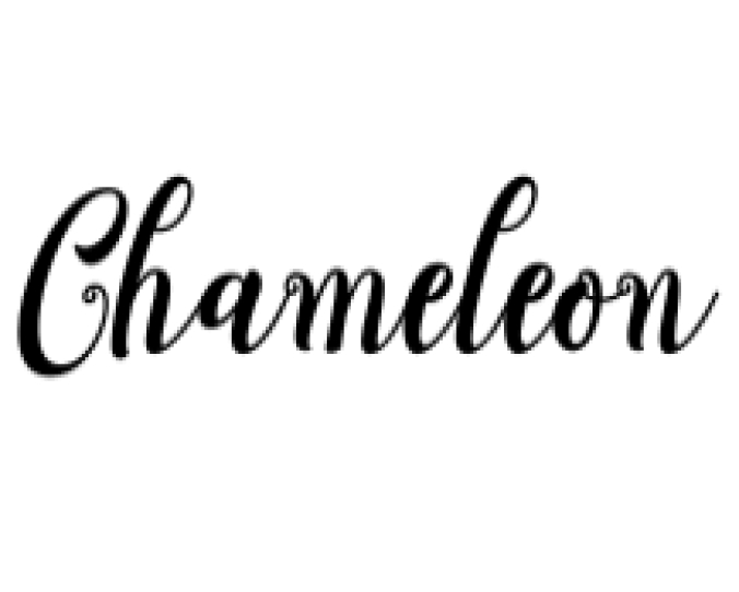 Chameleon Script Font Preview