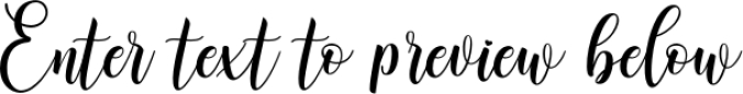 Best Seller Calligraphy Font Bundle Font Preview