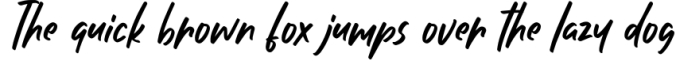 Birdviews Font Preview