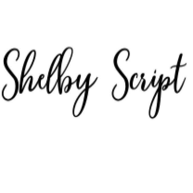 Shelby Script Font Preview