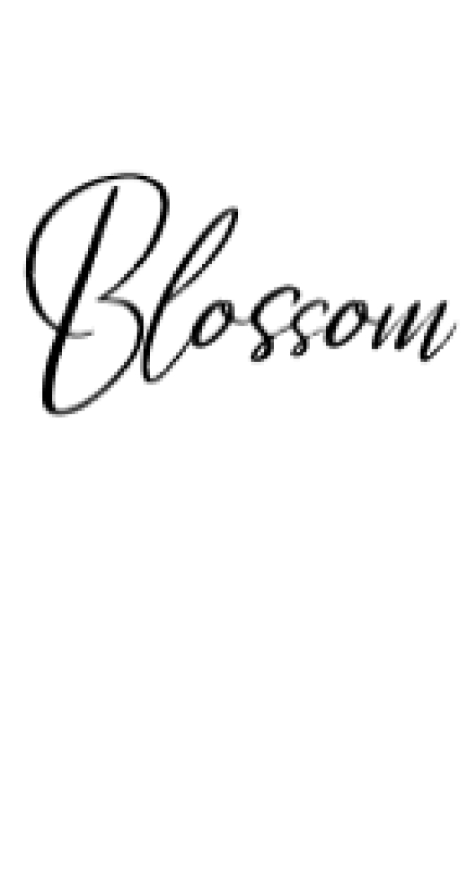 Blossom Font Preview