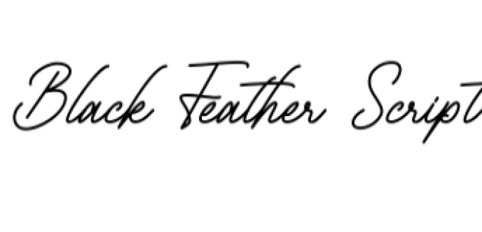 Black Feather Script Font Preview