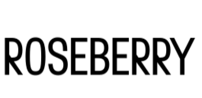 Roseberry Font Preview