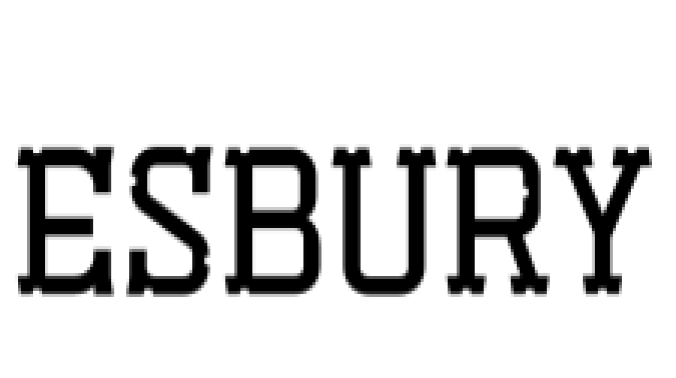 Esbury Font Preview
