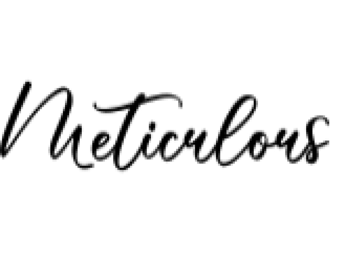 Meticulous Font Preview