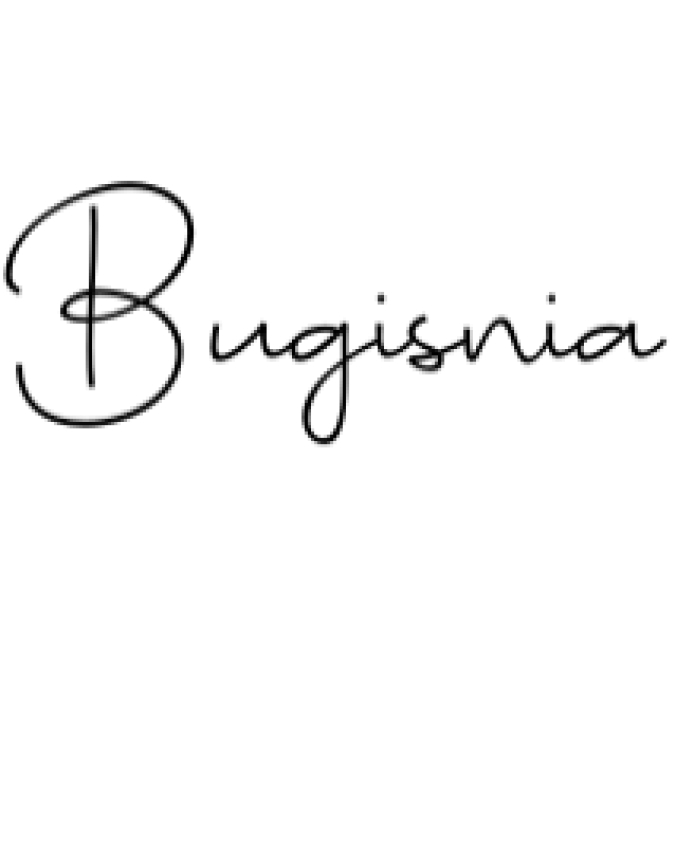 Bugisnia Script Font Preview