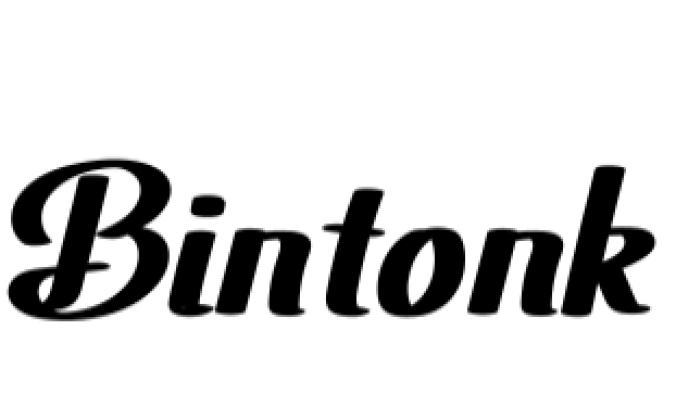 Bintonk Font Preview