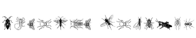 Insects Font Preview