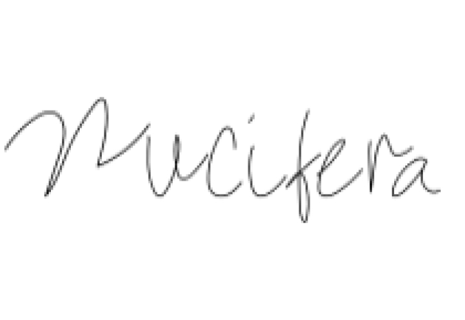 Nucifera Font Preview