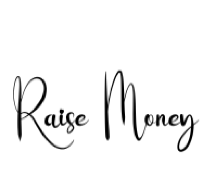 Raise Money Font Preview