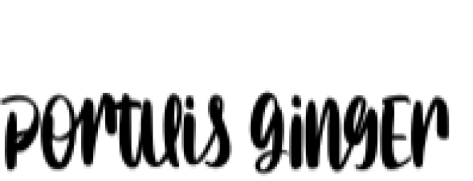 Portuis Ginger Script Font Preview