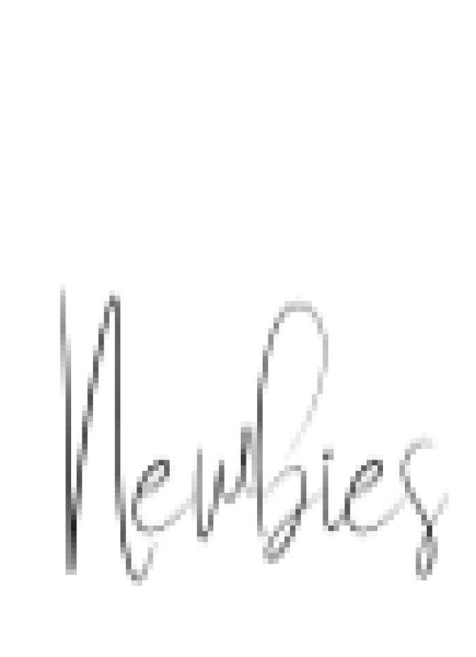Newbies Font Preview