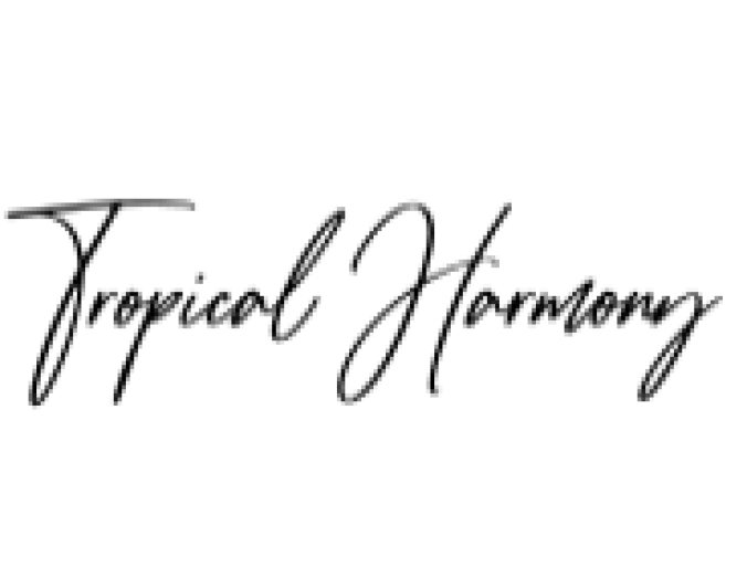 Tropical Harmony Script Font Preview
