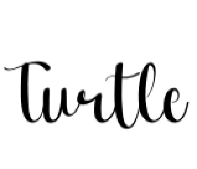 Turtle Font Preview
