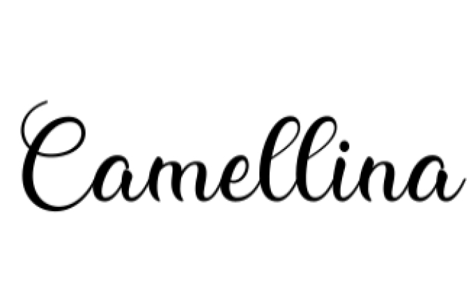 Camellina Script Font Preview