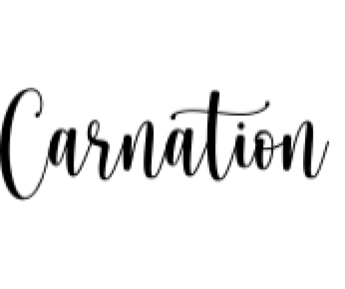 Carnation Font Preview