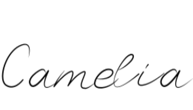 Camelia Stylish Signature Font Preview