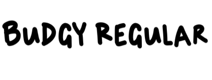 Budgy Font Preview
