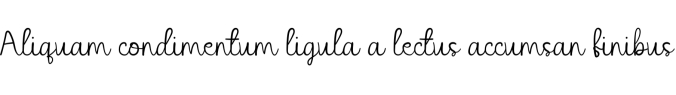 Network Font Preview
