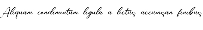 Sarahi Maribel Font Preview