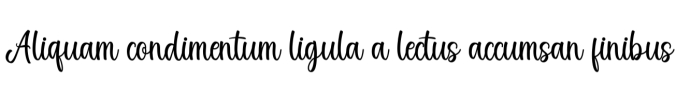 The Magic Carpet Font Preview